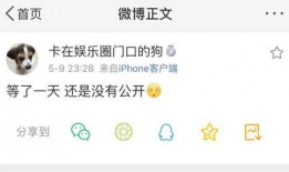 泄密爆料吃瓜系统最新,泄密爆料背后的真相与内幕